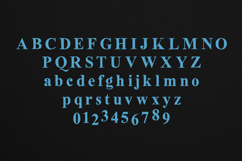 Oldink Organic Serif Font Product Image 2