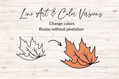 Hand Drawn Falling Maple Leaf SVG Product Image 2
