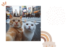 Funny Cats Pillow Sublimation, Animals Pillow Design Product Image 2