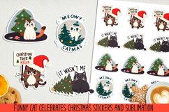 Funny cat celebrates Christmas.Stickers and Sublimation PNG. Product Image 1