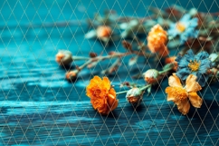 White Flowers Background, Floral Background Designs Product Image 2