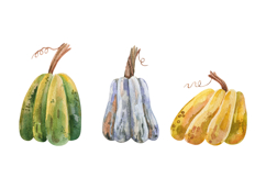 Watercolor Pumpkin Isolated White Background Product Image 3