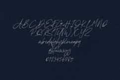 Polymath Signature Script Font Product Image 2