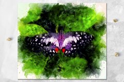 Watercolor Butterfly | skinny tumbler Sublimation bundle Product Image 2