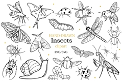 Insects SVG PNG Bundle, Bug Clipart, Garden Insects Line Art Product Image 1