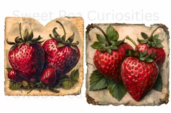 Strawberry, Strawberries, Ephemera, PNG, Clipart Product Image 2