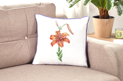 Lily Flower Watercolor Sublimation Print Lilium Illustration Product Image 2