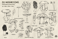 Mushrooms line art collection Svg Png Eps Product Image 2