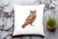 Watercolor Owl Illustration Clipart Sublimation PNG Product Image 3