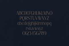 Ruminate Elegant Display Serif Font Product Image 2