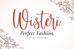 Antonella - Wedding Font Product Image 2