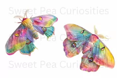 Moths, Junk Journal, PNG, Clipart, Ephemera, Butterflies Product Image 2