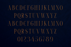 Thorn &amp; Tale Elegant Decorative Serif Font Product Image 2