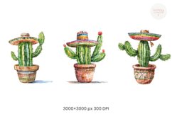 Cactus Product Image 2