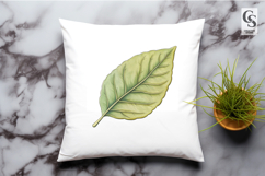 Watercolor Green Leaf Botanical Clipart Sublimation PNG Product Image 1