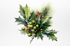 Winter Christmas Greenery Clipart PNG Product Image 2