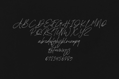 Polymath Script Elegant Handwritten Signature Product Image 2