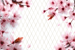 Pink Flowers Background PNG, Sakura Background Designs Product Image 2