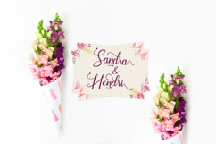 Sandra Product Image 2