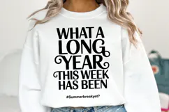 What a long year svg | Summer Svg | Shirt Svg Product Image 1