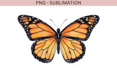 Summer png design for T-shirts Product Image 2