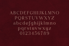 Creators Type Wavy Serif Font Product Image 2