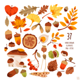 Autumn Forest Clipart Bundle with Decorative Frames Product Image 2