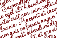 Cattalague a Script Font Product Image 2