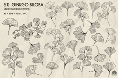 Ginkgo biloba line art collection Svg Png Eps Product Image 2