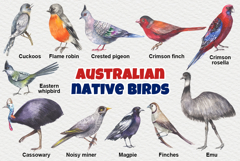 Australian native birds watercolor Product Image 2
