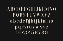 Black Goose Elegant Modern Serif Product Image 2