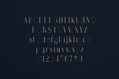 Avarice Abstract Elegant Modern Serif Font Product Image 2