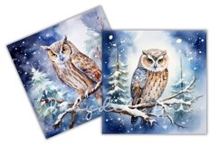 Watercolor Owl Winter Backgrounds|Digital Paper Product Image 2