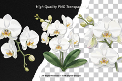 15 Bundle Watercolor Orchid Flower Blossom Botanical Product Image 2