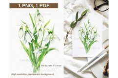 Watercolor Snowdrops Sublimation Print, Snowdrop Flower PNG Product Image 1