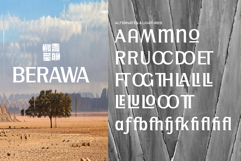 Lamrata Serif Display Font Product Image 2