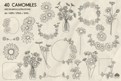 Camomile line art collection Svg Png Eps Product Image 2