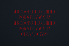 Thorn Tale Elegant Modern Serif Font Product Image 2
