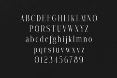 Avarice Elegant High Contrast Serif Font Product Image 2