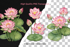 15 Bundle Watercolor Lotus Flower Meditation Elegant Floral Product Image 2