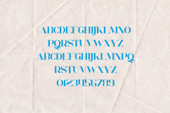 Chalga Modern Elegant Serif Font Matte Edition Product Image 2