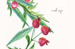 Woodland heart wreath watercolor #h20 Product Image 3