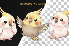 15 Bundle Watercolor Cute Baby Parrot Bird Macaw Parakeet Product Image 2