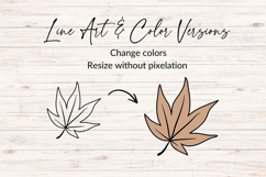 Hand Drawn Fall Leaf SVG Product Image 2