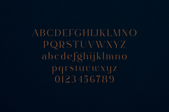 Rowan Elegant Modern Serif Display Font Product Image 2