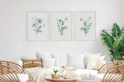 Wildflowers Set of 3 Prints Wall Art Product Image 2