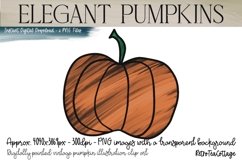 Elegant Pumpkins, 6 PNG Pumpkins, 300dpi Product Image 2