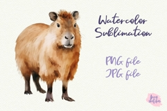 Capybara PNG Sublimation Design. Capibara Watercolor Clipart Product Image 1