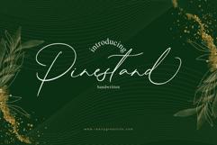 Pinestand Product Image 2