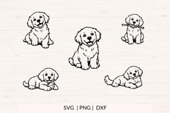 Golden Retriever Puppies SVG Bundle Product Image 2